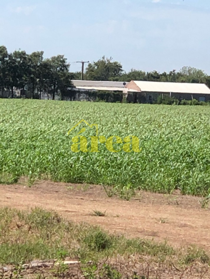 Campo 2;9956 Has. (29.956m2) En Bell Ville-Cordoba